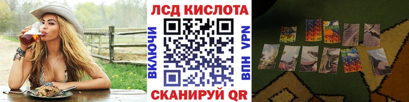 Марки N-bome 1,8мг  продажа наркотиков  Циолковский 