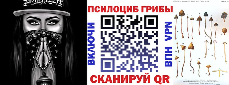 Псилоцибиновые грибы Magic Shrooms  Циолковский 