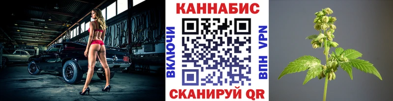 MEGA маркетплейс  Циолковский  Марихуана Amnesia 